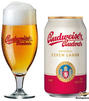 Bia Budweiser Budvar Original 5% - Lon 330ml - Bia Tiệp Nhập Khẩu TPHCM