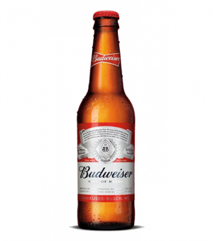 Bia Budweiser Mỹ Chai Thuỷ Tinh 5% - Chai 330ml - Bia Mỹ Nhập Khẩu TPHCM